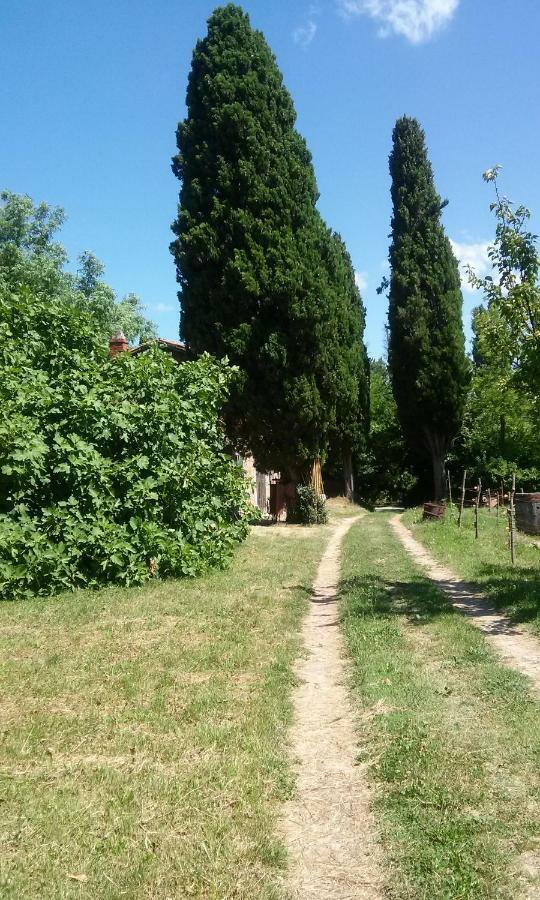 Agriturismo Bosco Fiorito Villa Muggia Exterior photo